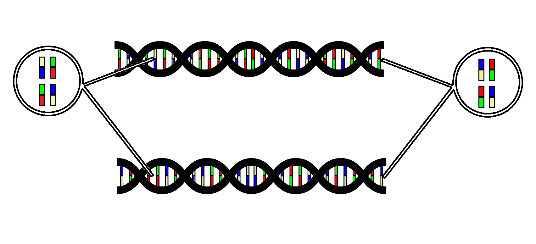 DNA sample differences visualization