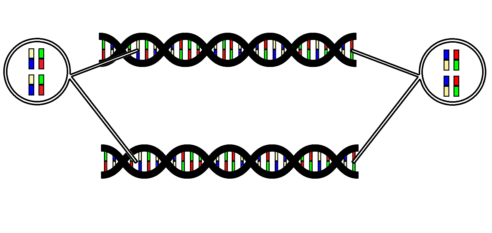 DNA sample similarities visualization